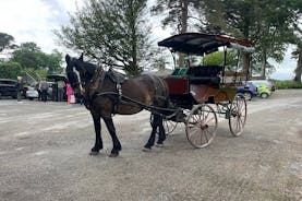 Horse-Drawn Carriage Tours in Killarney 