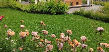 Privat virtuel rundvisning i de bulgarske roser og rosenolie