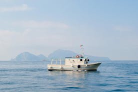 Tour sulla SalBoat a Sorrento e Capri con pesca