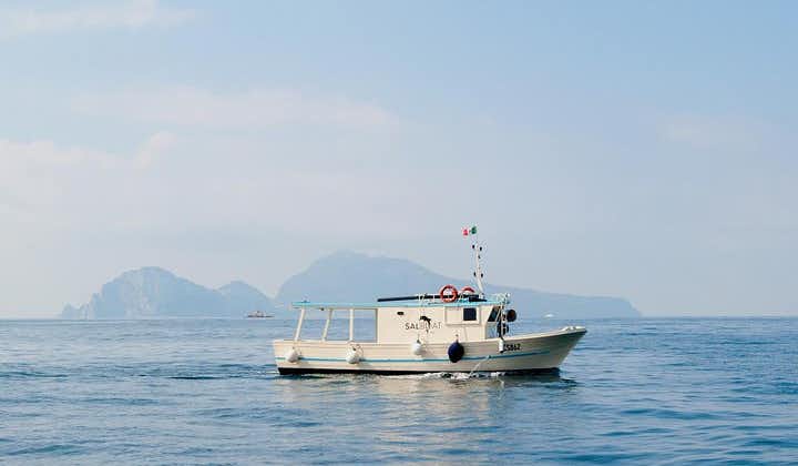 Fishing and Tourism in Capri