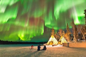  PRIVADO Fabuloso show tour de búsqueda de la aurora boreal en coche VIP Rovaniemi