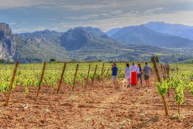 Recorrido vinícola de La Rioja como un nativo