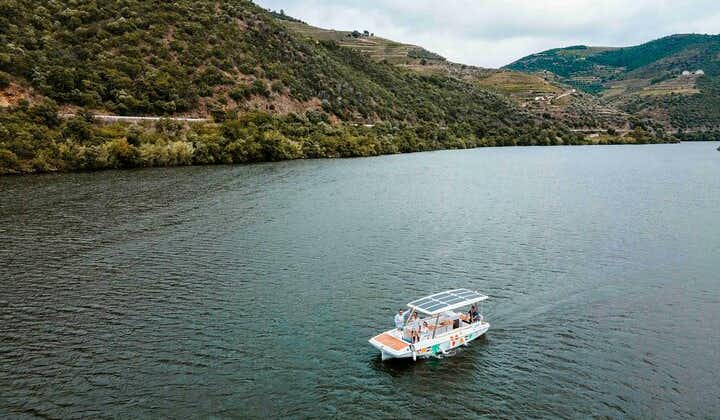 Tour privado en barco solar de 1 hora por el río Duero