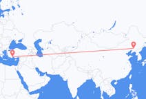 Flyreiser fra Shenyang, Kina til Antalya, Tyrkia