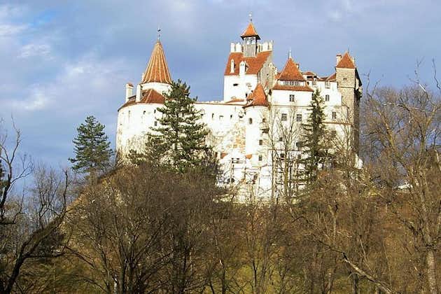 Cultural Day Trip to Transylvania including Peles Castle & Bran Dracula's Castle