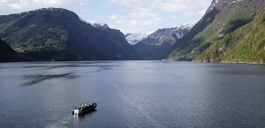 Hardangerfjord 및 Osafjord로 향하는 Ulvik RIB 모험 투어