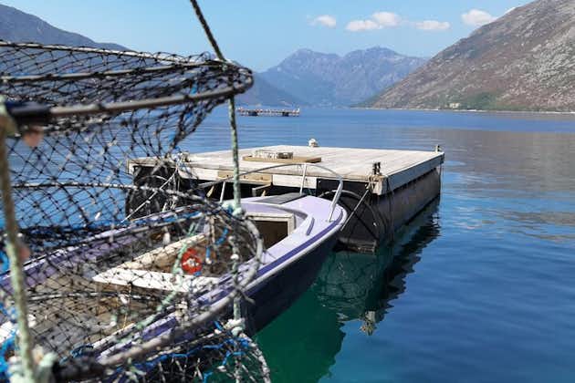 Mussel & Oyster Farm med Perast besök Private Tour
