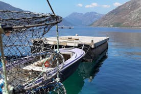 Mussel & Oyster Farm with Perast visitation Private Tour