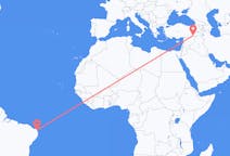 Flyrejser fra Natal, Brasilien til Mardin, Tyrkiet