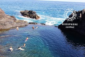 Porto Moniz Volcanic Pools and Skywalk Full Day Tour in Open Roof 4x4
