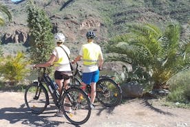 Elcykeluthyrning 80 km Batteritid: Gran Canarias berg eller kust