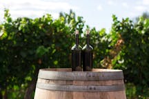 이탈리아 트라파니 와인 양조 투어