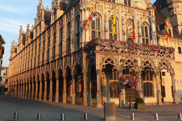 Private 6-stündige Tour von Brüssel nach Mechelen mit Fahrer und Guide (in Mechelen)