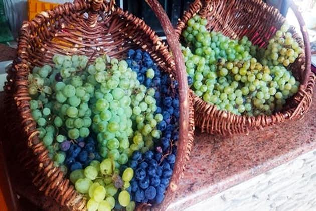 黑塞哥维那葡萄酒和美食体验