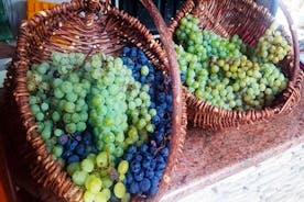 Experiencia de vino y comida de Herzegovina