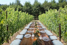 Indimenticabile pranzo privato in vigneto in Toscana