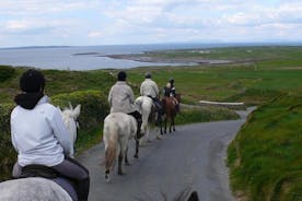 Horse riding - Burren Trail. Lisdoonvarna, Co Clare. Guided. 3 hours.