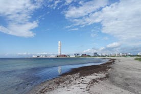 Green Malmö - Miljø og bæredygtighed (Privat tur)
