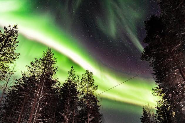 Tour privato dell'Aurora (5 o più) di Aurora Experts - Inari-Saariselkä