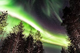 Privat Aurora Tour (5 eller flere) av Aurora Experts - Inari-Saariselkä