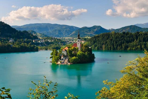 Ljubljana en het meer van Bled (maximaal 8 personen)