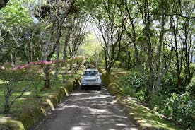 Visite privée de 8 heures en véhicule 4x4 de Ponta Delgada