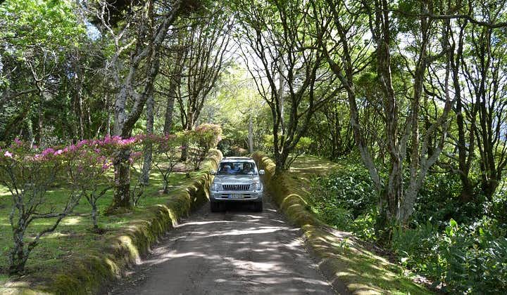 8-stündige private Tour in 4x4 Fahrzeug von Ponta Delgada