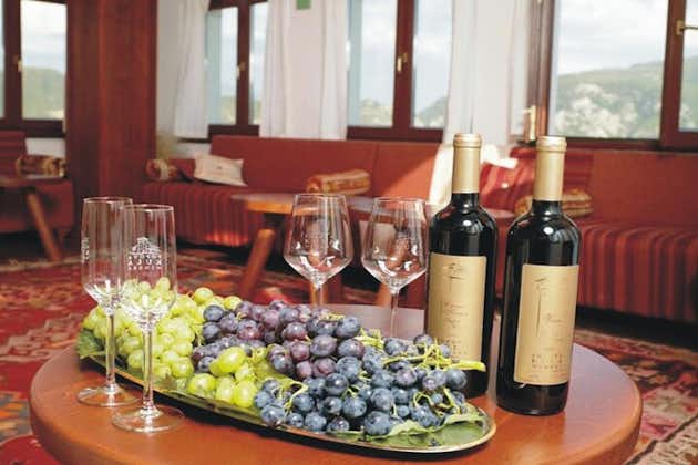 와인 시음과 함께 Tikvesh Wine Region으로의 개인 투어