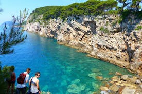 Kolocep Island Vandring og Svømming Full dagstur fra Dubrovnik