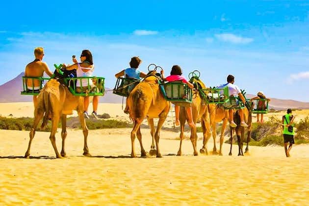 马斯帕洛马斯沙丘上的骆驼野生动物园电动自行车城市之旅