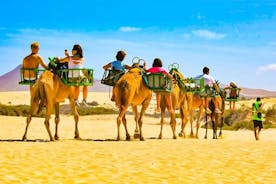 E-Bike City Tour with Camel Safari on the Maspalomas Dunes