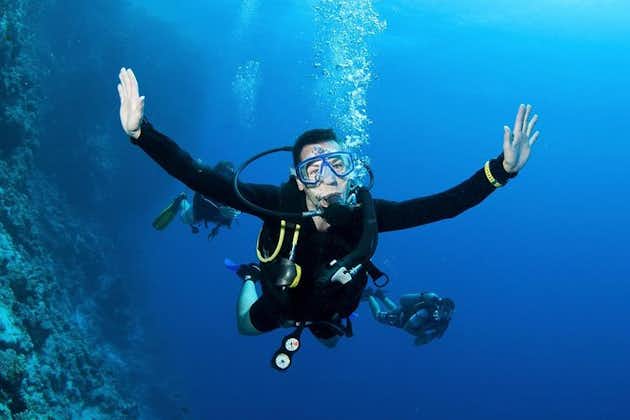 来自达利安的水肺潜水