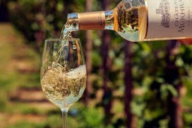 Ekologiska viner av Mtskheta - privat rundtur med lunch och vinprovningar