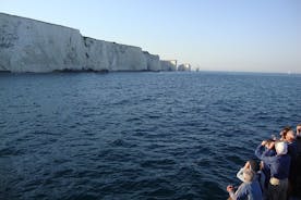Poole Harbour and Island Cruise from Poole