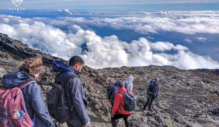 Beklim de Pico-berg met een professionele gids