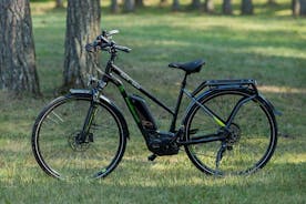 Electric Bicycle Rental in Zlatibor, Serbia