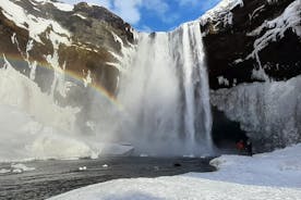 Privat sørkysttur fra Reykjavik