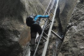 Dagsferð lítilla hópa til Epic 7 Ladders Canyon frá Brasov