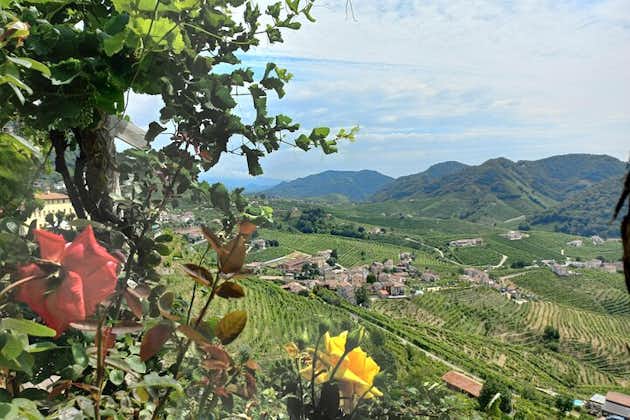 Prosecco Hills Tour with Wine Tasting & Lunch from Venice Treviso