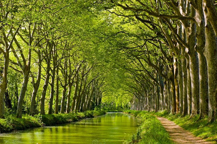 Photo of late spring look on Canal du Midi canal in Toulouse, southern France.