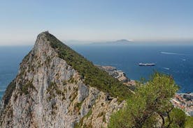 Escursione a Gibilterra: il tour Rock, Shop & Caves originale