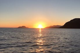 Från Tromsö all inclusive Midnight sun cruise med Boat