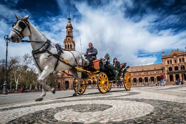 Tour in carrozza a cavallo privato e tour a piedi di Siviglia