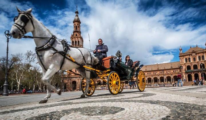Private Horse Carriage Ride and Walking Tour of Seville