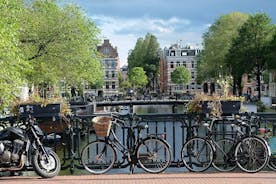 Fat Bike Tours Amsterdã