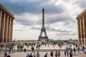 Private City tour of Paris from Disneyland with drop off in Paris City