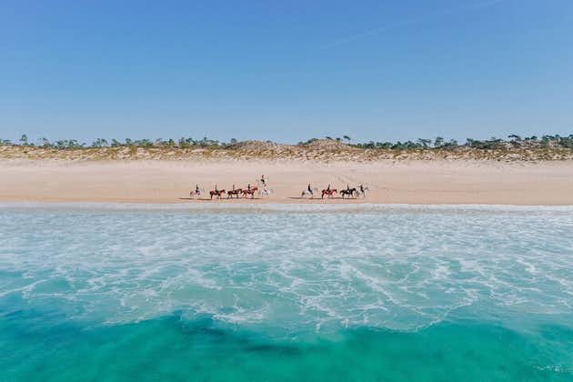 Horse Riding on the Beach with private transfer from Lisbon