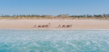 Horse Riding on the Beach with private transfer from Lisbon