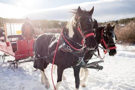 Kerst-sledetocht met paard en wagen uit Salzburg