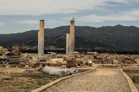 Archaeological tour of Nora